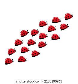 Ladybugs en grupo de vías de línea. Trayectoria de ladybirds. Ilustración vectorial aislada en blanco.