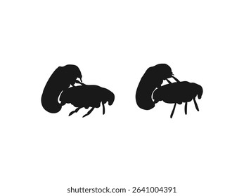 Ladybugs mating silhouette. Wildlife Silhouettes Depicting Animal Mating. vector on white background.