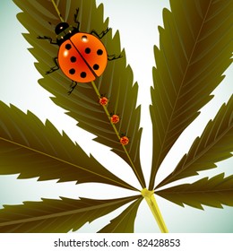 ladybugs on cannabis leaf, abstract vector art illustration; image contains clipping mask and transparency