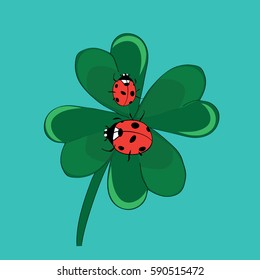 Ladybugs on cloverleaf. Vector illustration on turquoise background 