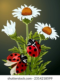 Ladybugs on daisies in illustration.Vector illustration with red ladybugs on white daisies.