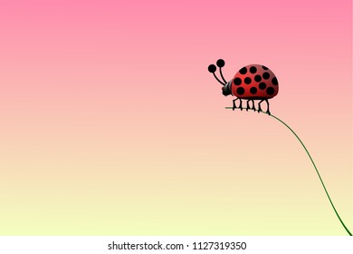 Ladybugs on grass