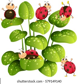 Bugs On Leaf Images, Stock Photos & Vectors | Shutterstock