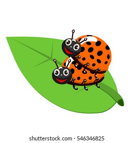 Ladybugs on leaf