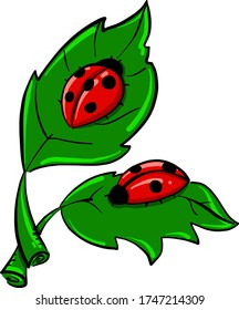 Ladybugs on leaves , illustration, vector on white background