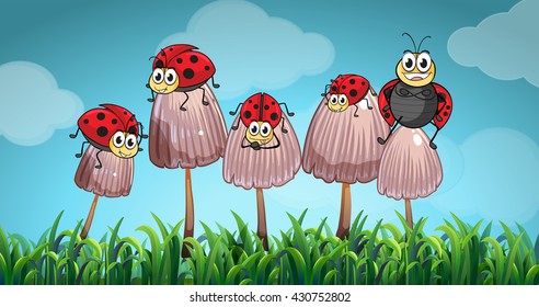 Ladybugs on mushrooms in the garden illustration