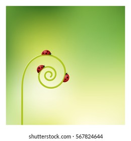 Ladybugs on sprout unrolling background , vector , illustration