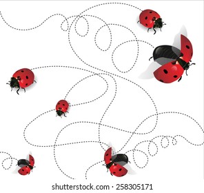 Ladybugs on white background-transparency blending effects and gradient mesh-EPS 10.