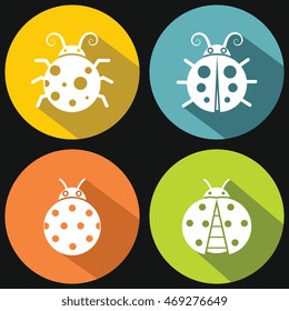 Ladybugs on yellow background with shadow. White insect in circle. Vector illustration