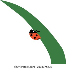 Ladybugs perching on the grass