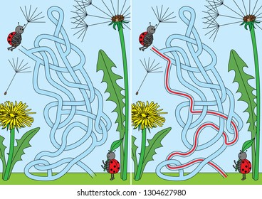 Ladybugs playing with dandelion seeds maze for kids with a solution