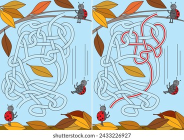 Ladybugs playing with fallen leaves maze for kids with a solution