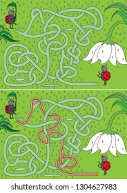 Ladybugs in the rain maze for kids with a solution