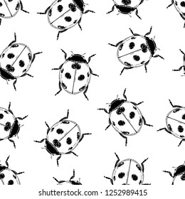 Ladybugs seamless pattern vector hand drawn illustration.