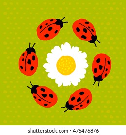 Ladybugs. Vector illustration
