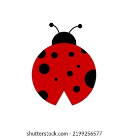 Ladybugs vector red and black, summer bugs vector.