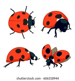 ladybugs vector set 2