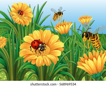 Ladybugs and wasps flying in garden illustration