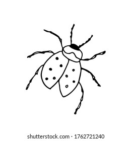 Ladybug.Vector illustration of an insect. A Doodle style sketch. Isolated object on a white background.Ink drawing of wildlife. For children's colorings and logos.