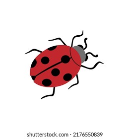 Ladybug,wildlife beetle,red color red with black spots.Insect of meadows, fields and grasses.