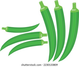 Ladyfinger with piece isolated fresh vegetable vector okra