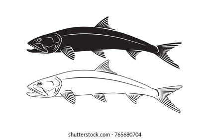 ladyfish and giant herring 