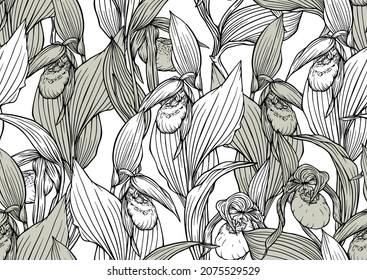 Lady's slipper orchid, Cypripedioideae, Seamless pattern, background. Outline vector illustration. In botanical style 