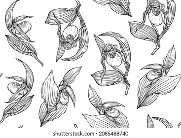 Lady's slipper orchid, Cypripedioideae, Seamless pattern, background. Outline vector illustration. In botanical style 