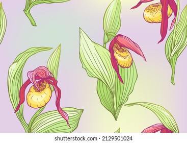 Lady's slipper orchid, Cypripedioideae, Seamless pattern, background. Vector illustration. In botanical style