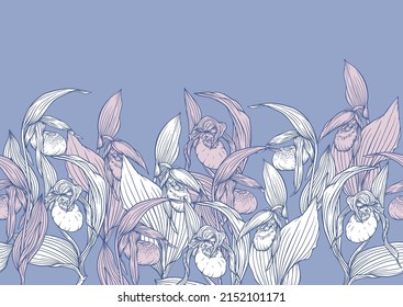Lady's slipper orchid, Cypripedioideae, Seamless pattern, background. Vector illustration. In botanical style.