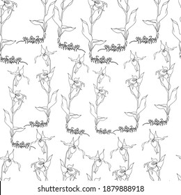 Diseño artístico de sketch de tintas de patrón sin soldadura de orquídea Lady's-slipper ilustraciones vectoriales para web, para impresión, para diseño de jardinería, para diseño de productos, para embalaje