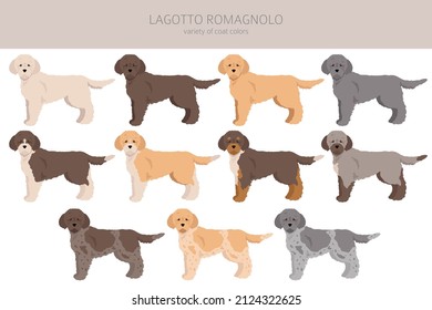 Lagotto Romagnolo clipart. Different poses, coat colors set.  Vector illustration