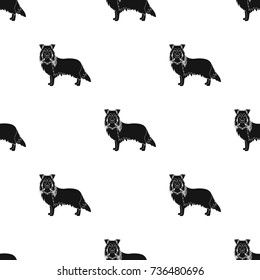 Laika single icon in black style.Laika, vector symbol stock illustration web.