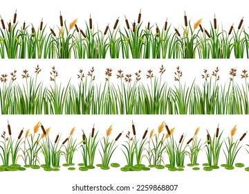 Lake aquatic plant borders. Seamless swamp cattails, marsh reed and strip of coastal river plants vector illustration set. Outdoor wetland with natural elements, green leaves near riverside