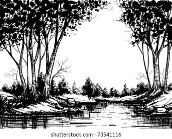 Lake in the birch forest