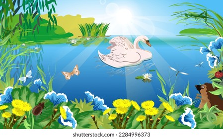 lake clear water river willow reflection swan floats water lilies butterflies clean air summer spring rest ecology hedgehog bell flowers grass dandelions coltsfoot grasshoppers july june seasons 