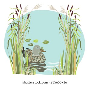 Lake and duck in the reeds
