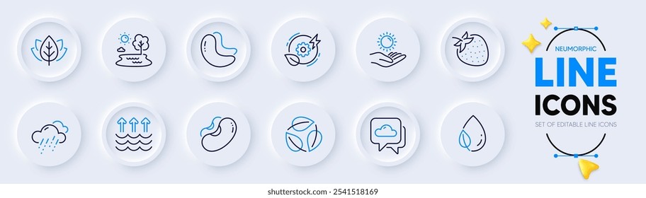 Lake, Evaporation and Leaves line icons for web app. Pack of Strawberry, Rainy weather, Beans pictogram icons. Cashew nut, Sun protection, Weather forecast signs. Green energy. Vector