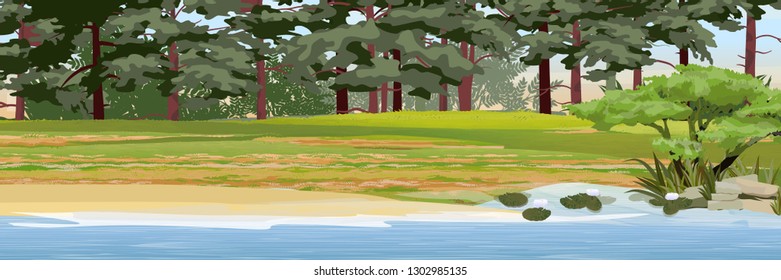 Lake in the forest. Pines, bushes, stones, reeds and water lily. Realistic Vector Landscape