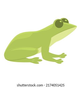 Lake frog icon cartoon vector. Cute animal. Smile jump