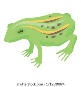 Lake frog icon. Isometric of lake frog vector icon for web design isolated on white background