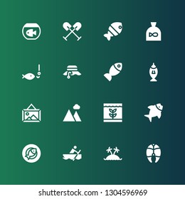 lake icon set. Collection of 16 filled lake icons included Fish, Island, Rowing, Landscape, Fishing, Fisherman, Oar
