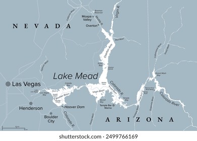 Lake Mead, largest reservoir in the United States, gray political map. Formed by the Hoover Dam on Colorado River in Southwestern USA, located in the states of Nevada and Arizona, east of Las Vegas.