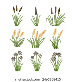 lake plant set cartoon. landscape reed, grass forest, garden wetland lake plant sign. isolated symbol vector illustration