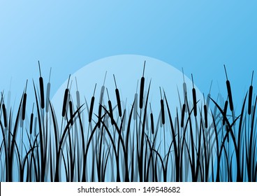 Lake reed and wild water plants detailed silhouettes outdoor illustration background vector