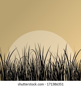 Lake reed and wild water plants detailed silhouettes outdoor illustration background vector