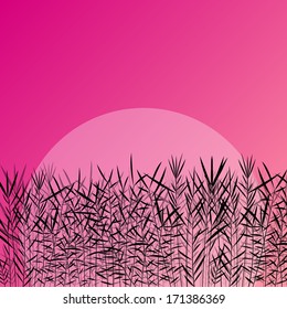 Lake reed and wild water plants detailed silhouettes outdoor illustration background vector