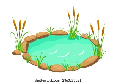 Lake with reeds and stones. Pond in cartoon style isolated on white. Swamp with vegetation