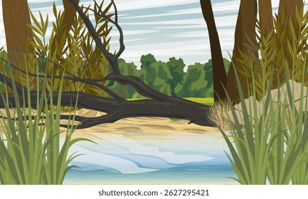 Lake or river bank with fallen tree, sand and stones. Realistic vector landscape