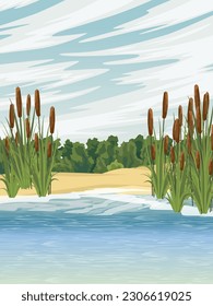 Lake shore with reeds. Sandy shore of the pond. Green dense forest on the horizon. countryside. Vector realistic vertical landscape